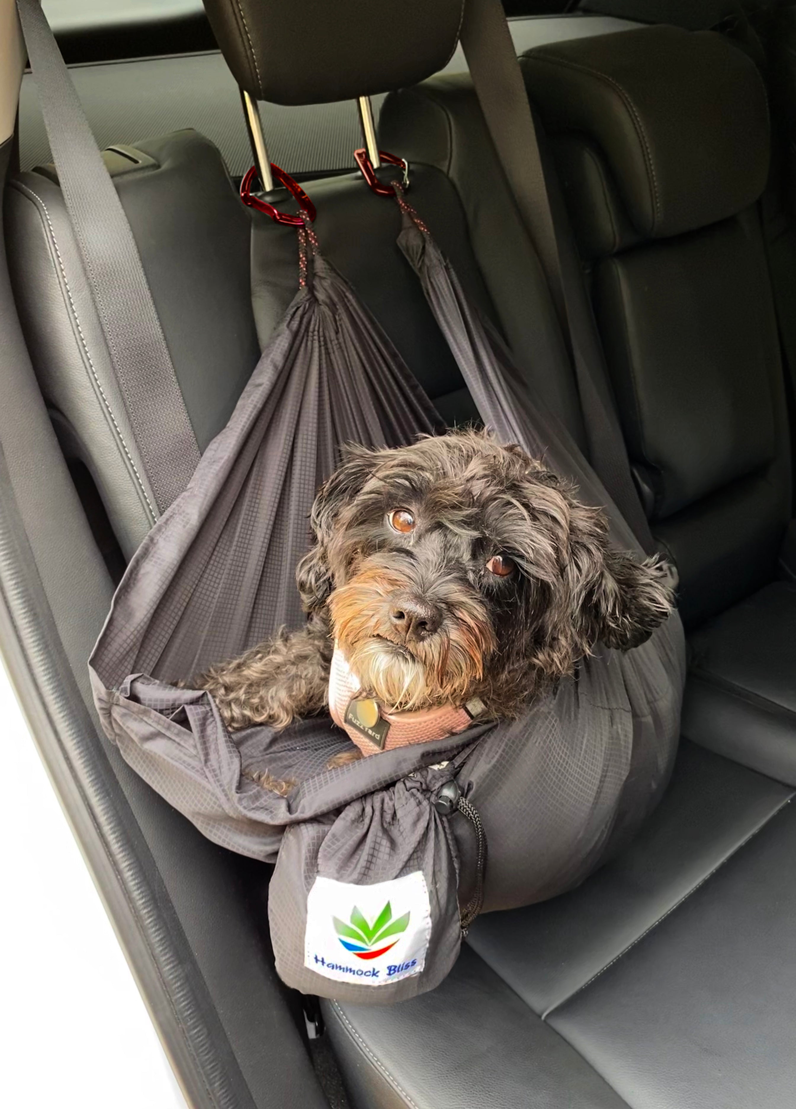Sky Dog